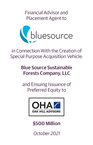 Financial Advisor and Placement Agent to Bluesource.