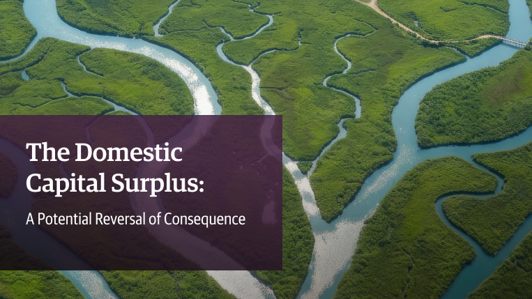 Guggenheim Securities Publishes ‘The Domestic Capital Surplus: A Potential Reversal of Consequence’