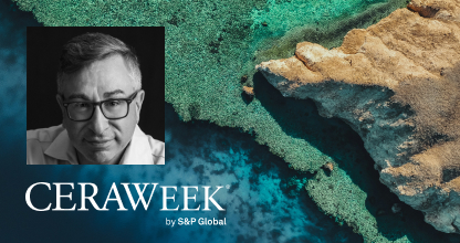 Electric Vehicle Penetration: Accelerating or Braking?